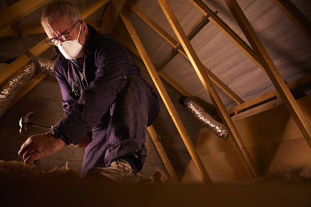 Best Insulation Installation Services in Oak Hill, WV